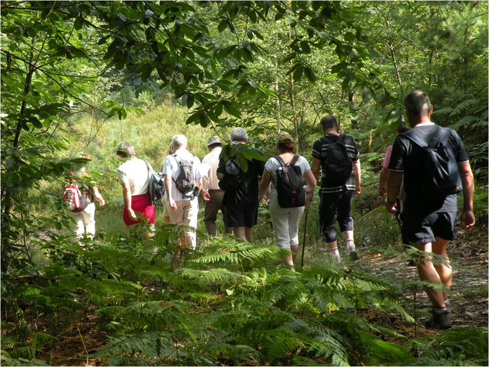 Image12