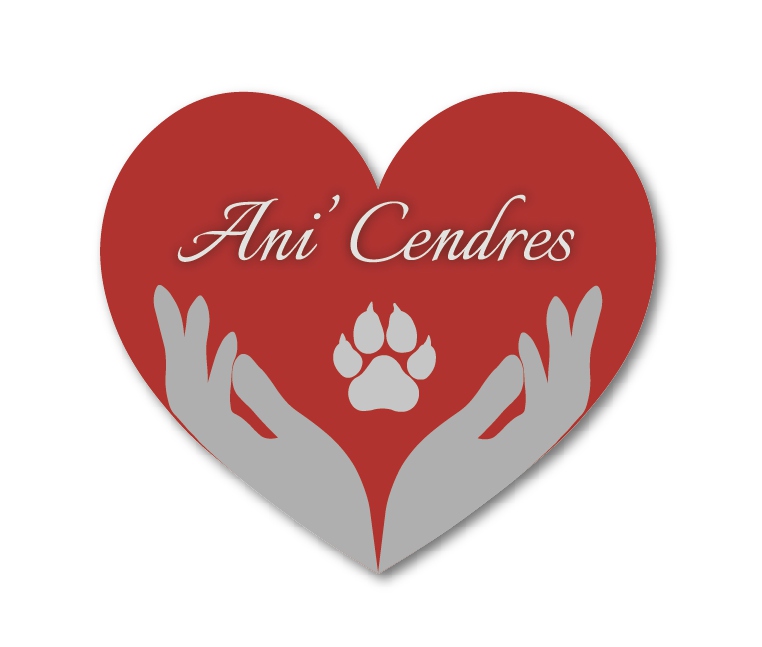 anicendres 59323186cb82a8e816fd0e42936e7903