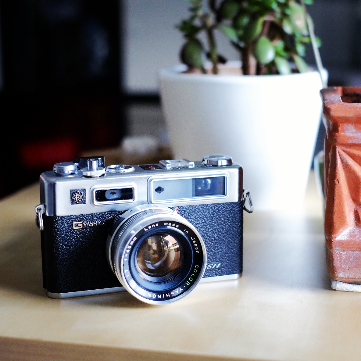 atelier photo dieuze