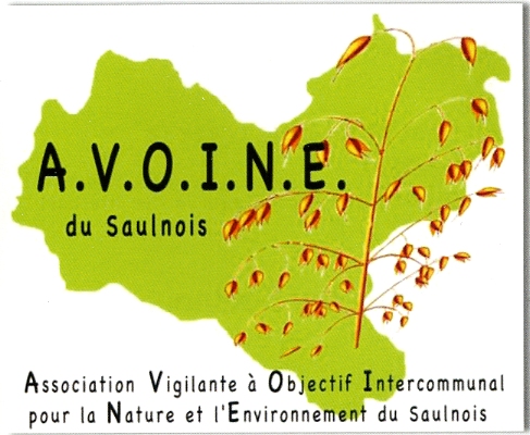 avoine saulnois001