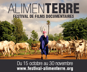 banniere fest 2015 300 250 web 0