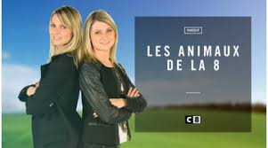 c8animaux