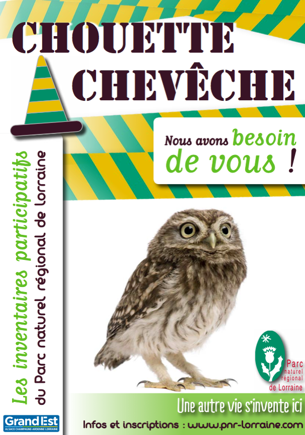 chouettecheveche