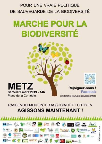 marche bio mini