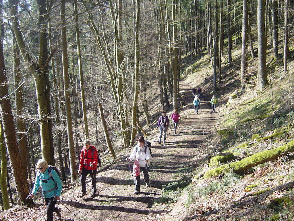 nordicfit