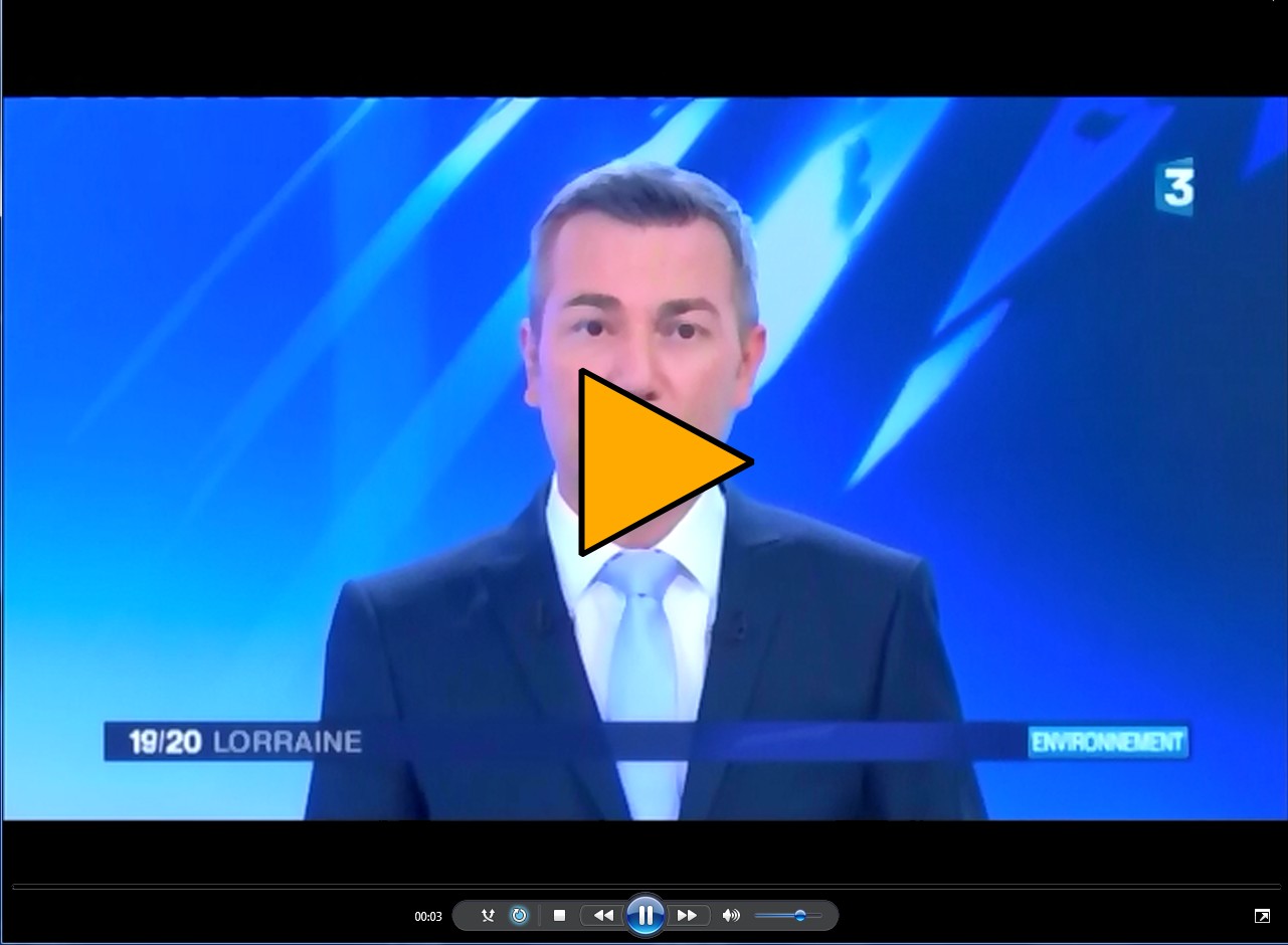 France 3 Lorraine 19-20 du 2-11-2016