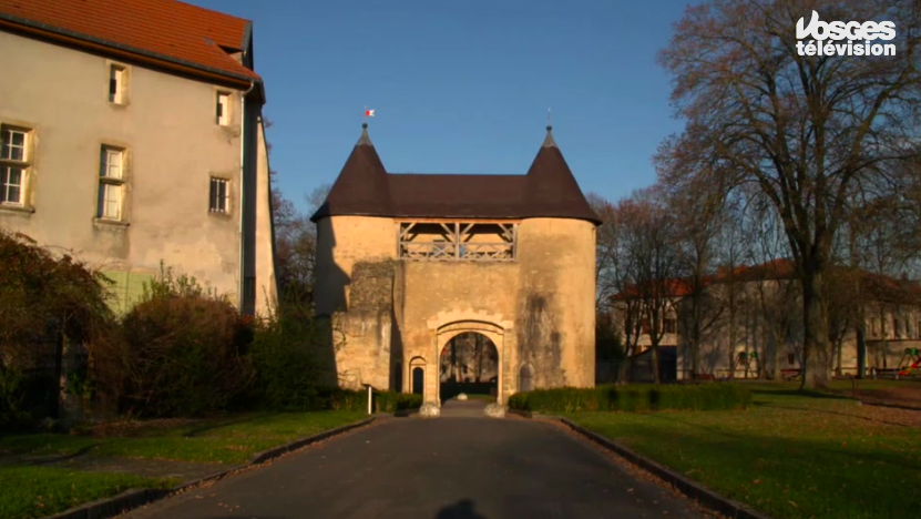 vosgestv